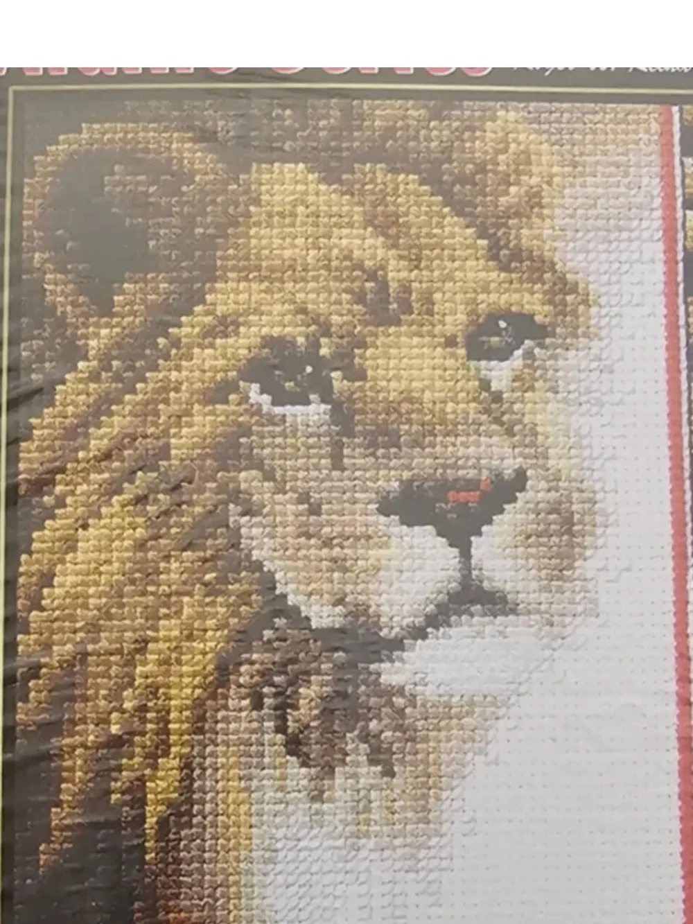 Janlynn Wildlife Series Lion Cross Stitch Kit By Roger W. Reinardy 13-268 - 5x7